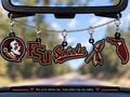 Florida State Seminoles Freshie Charms